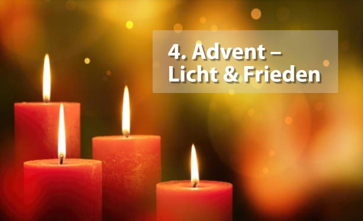 WhatsApp-Image-2025-12-21-at-02.51.28