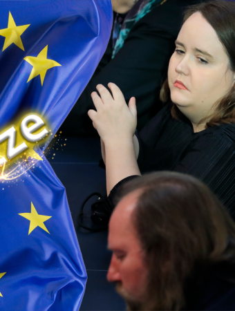 Die Grünen sind nach der EU-Wahl entzaubert